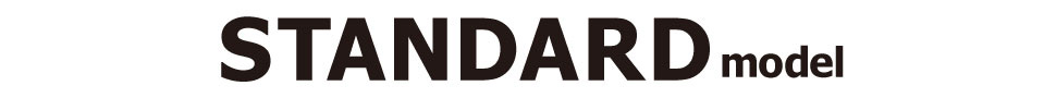STANDARD model