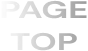 PAGE TOP